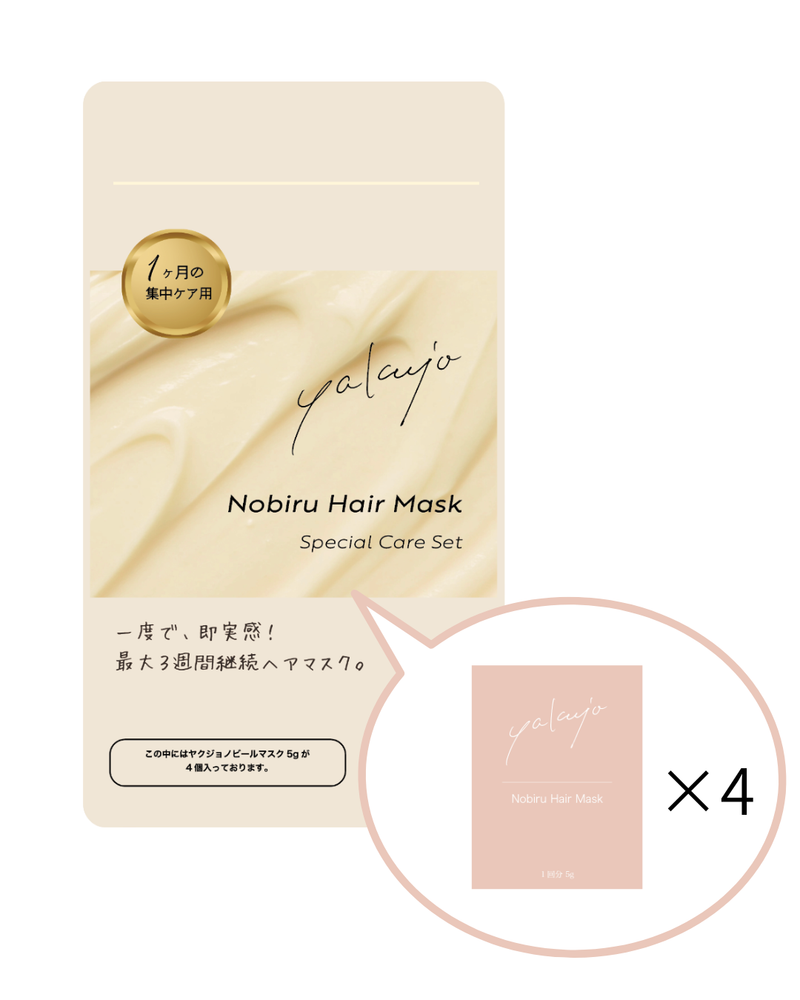 ノビールヘアマスク スペシャルケアセット